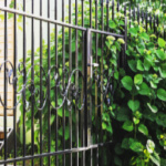 decorative-fence-ideas